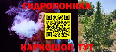 гидра Дубна