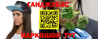 гидра Дубна