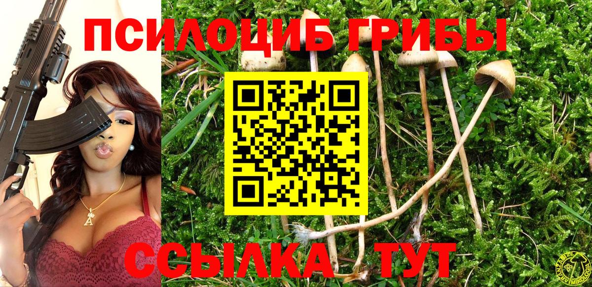 наркота  Псилоцибиновые грибы мухоморы  Вход с VPN  Мценск 